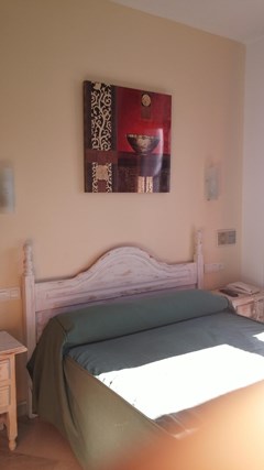 Hotel Playamaro: Room Double or Twin STANDARD - photo 16