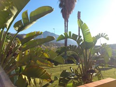 Hotel Playamaro: Terrace - photo 13