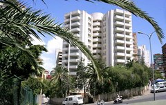 Las Torres: General view - photo 2