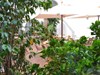 Internacional Hotel