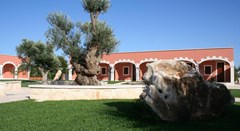Hotel Relais Antica Masseria: Terrace - photo 22