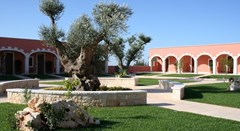 Hotel Relais Antica Masseria: Terrace - photo 33