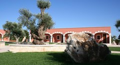 Hotel Relais Antica Masseria: Terrace - photo 36