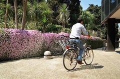 Mercure Bari Villa Romanazzi: General view - photo 97
