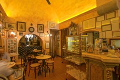 Zodiacus: Bar - photo 35
