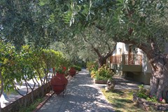 Thetis Hotel  - photo 5