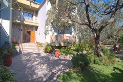 Thetis Hotel  - photo 4