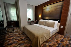 Levni Hotel & Spa Istanbul: Room DOUBLE STANDARD - photo 77