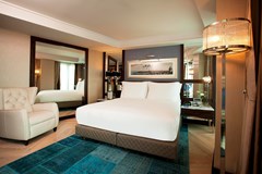 Radisson Blu Hotel Istanbul Pera: Room DOUBLE BUSINESS - photo 46