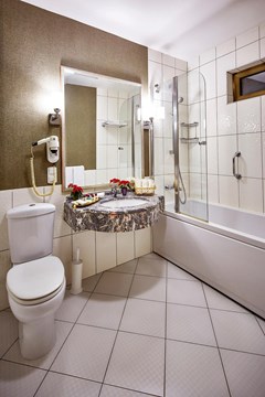 Gunes Hotel Merter: Room DOUBLE STANDARD - photo 45