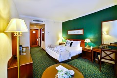 Grand Cevahir Hotel & Congress Centre: Room SINGLE STANDARD - photo 42