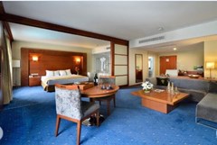 Holiday Inn  Istanbul City: Room SUITE EXECUTIVE - photo 24