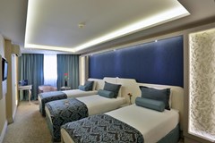 Zurich: Room TRIPLE STANDARD - photo 33