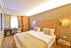 Ramada Istanbul Taksim: Room DOUBLE STANDARD - photo 37