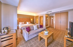 Ramada Istanbul Taksim: Room SUITE STANDARD - photo 41