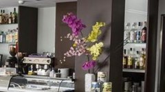 Montesol: Bar - photo 2
