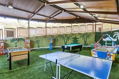 Magic Natura Animal, Waterpark & Polynesian Resort: Sports and Entertainment - photo 6