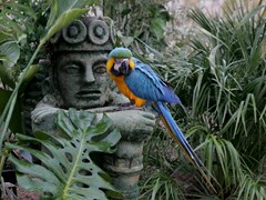 Magic Natura Animal, Waterpark & Polynesian Resort: Sports and Entertainment - photo 27