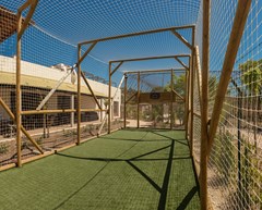 Magic Natura Animal, Waterpark & Polynesian Resort: Sports and Entertainment - photo 49
