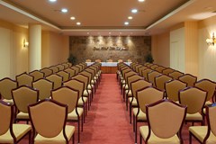 Elba Estepona Gran Hotel & Thalasso Spa: Conferences - photo 14