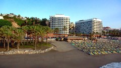 Melia Costa del Sol: General view - photo 55