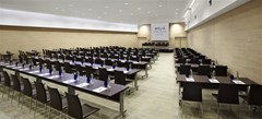Melia Costa del Sol: Conferences - photo 34