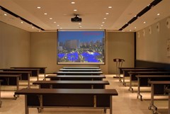 Sol Principe: Conferences - photo 62