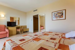 Fiesta Hotel Tanit: Room DOUBLE STANDARD - photo 29