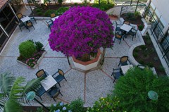 Villa Belvedere Hotel - photo 9