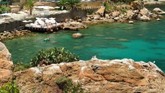 Le Calette Garden & Bay - photo 8
