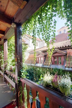 Hotel Waldstein: Terrace - photo 1