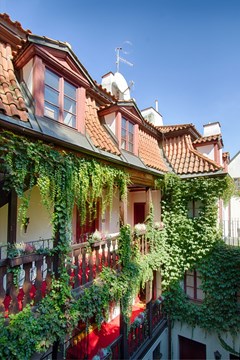 Hotel Waldstein: Terrace - photo 4