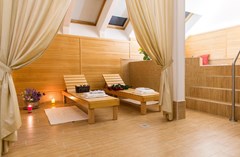 Boutique Hotel Seven Days Prague: Sports and Entertainment - photo 15
