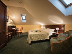 EA Hotel DownTown: Room SINGLE STANDARD - photo 14