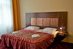 Palacky: Room DOUBLE SUPERIOR - photo 12