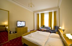Palacky: Room DOUBLE STANDARD - photo 21