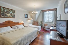 Hotel Romance Puskin: Room TRIPLE STANDARD - photo 13