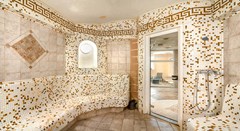 Dvorak Spa & Wellness: Sports and Entertainment - photo 42