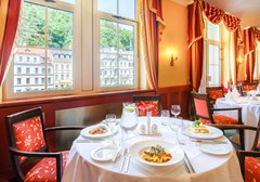 Dvorak Spa & Wellness: Restaurant - photo 49