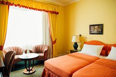 Dvorak Spa & Wellness: Room DOUBLE STANDARD - photo 4