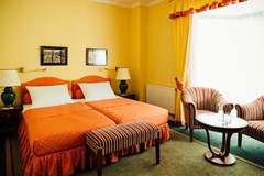 Dvorak Spa & Wellness: Room SINGLE STANDARD - photo 10