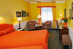 Dvorak Spa & Wellness: Room DOUBLE DELUXE - photo 16