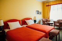 Dvorak Spa & Wellness: Room SINGLE DELUXE - photo 22