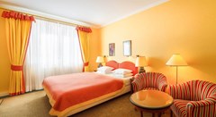 Dvorak Spa & Wellness: Room Double or Twin DELUXE RIVER VIEW - photo 40