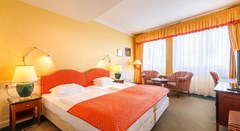 Dvorak Spa & Wellness: Room SUITE RIVER VIEW - photo 47