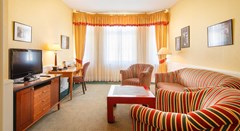 Dvorak Spa & Wellness: Room SUITE RIVER VIEW - photo 50