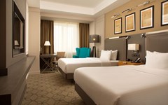 Doubletree Hilton Kazan City Center: Room TWIN STANDARD - photo 18