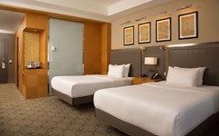Doubletree Hilton Kazan City Center: Room TWIN DELUXE SUPERIOR - photo 20