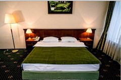 Shalyapin Palace: Room DOUBLE SINGLE USE STANDARD - photo 23