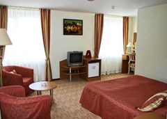 Amaks Safar Hotel: Room DOUBLE BUSINESS - photo 46